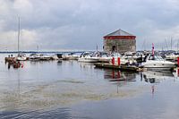 Haven in de plaats Kingston.