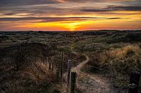 Lever de soleil dans les dunes d'Ameland