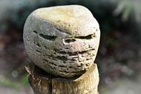 E.T  the  Extra-Terrestrial