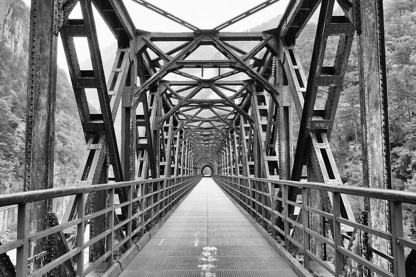 Alte Eisenbahnbrücke auf dem Alpe Adria Radweg von Angelika Stern