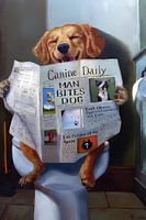 Lustig gewordener Hund