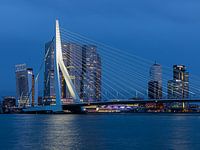 Erasmus Bridge Rotterdam