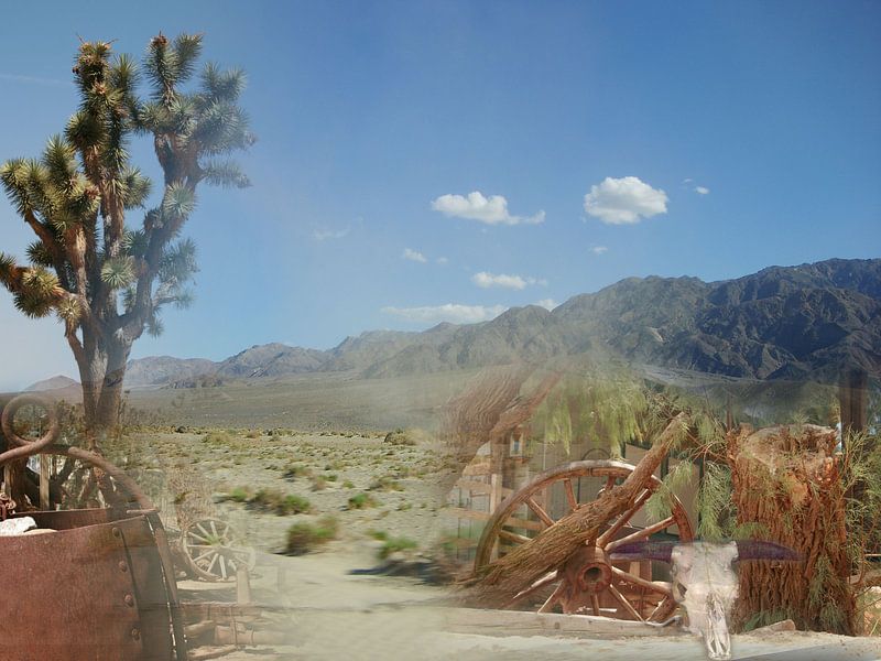 America Death Valley Collage by Karen Boer-Gijsman
