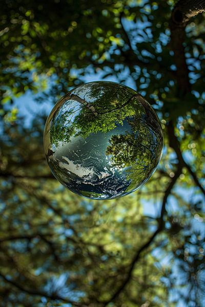 Glaskugel mit Baumspiegelung von Imperial Art House