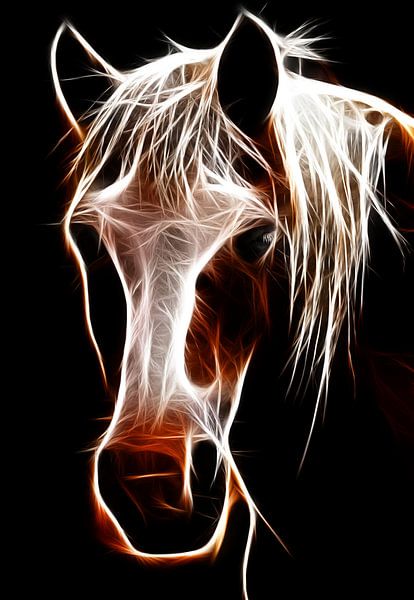 Das Pferd von Bert Hooijer