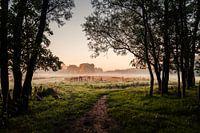 Vue du Bos Leeuwarder
