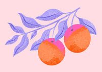 Abstrakter Orangenzweig