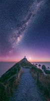 New Zealand Nugget Point Lighthouse Milkyway Vertorama