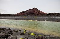 Groen lavameer bij Los Hervideros Lanzarote