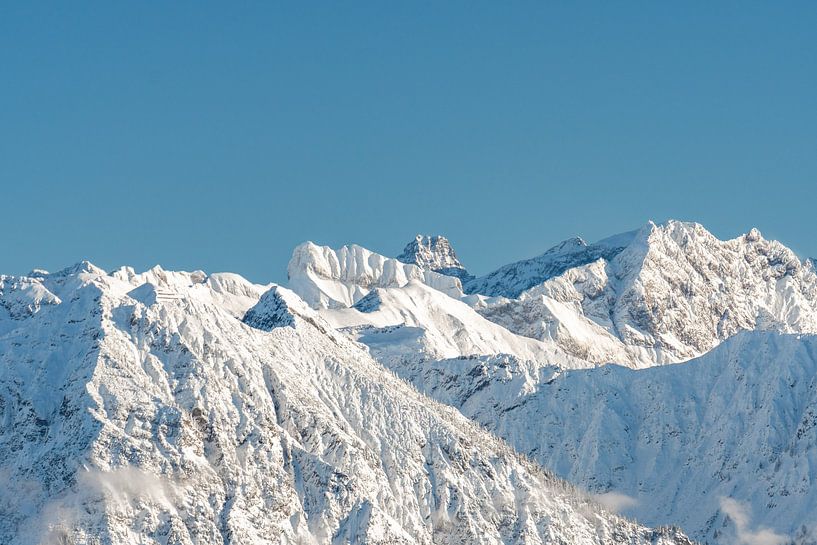 Gros plan d'un escargot en robe d'hiver par Leo Schindzielorz
