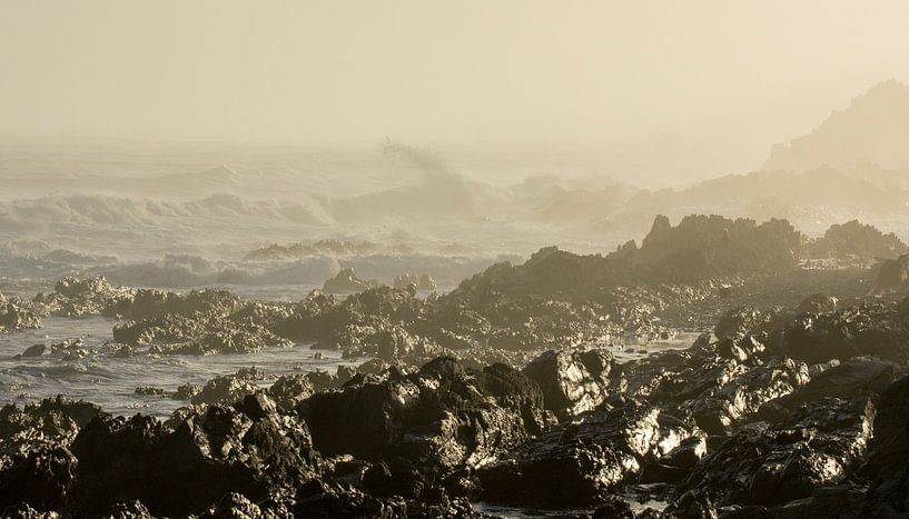 Felsenküste am Tsitsikamma-Naturreservat, Südafrika.  von Ron Poot