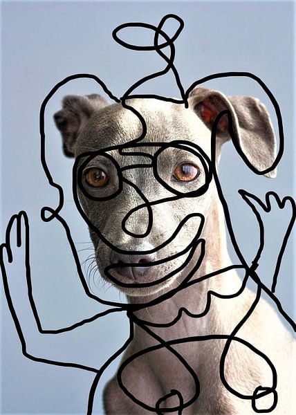 De Hond door Murat Rey. van Murat Rey