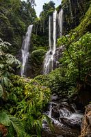 Sekumpul Wasserfall, grüne schlucht in Buleleng, Bali, Indonesien