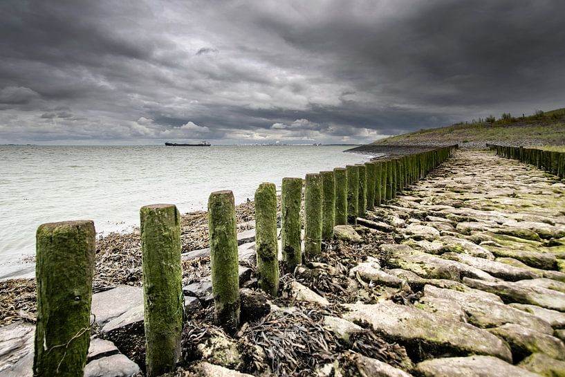 Breakwater by Niek Goossen