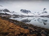 Matinée d'humeur dans les fjords norvégiens