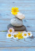 Zen stones with flowers
