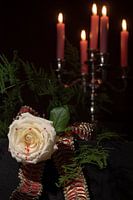 Le deuil à l'état brut