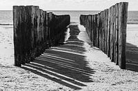 Breakwaters of the sea