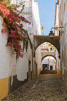 Rue étroite à Evora