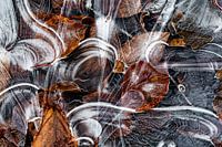 IJskunst   bevroren waterplasje