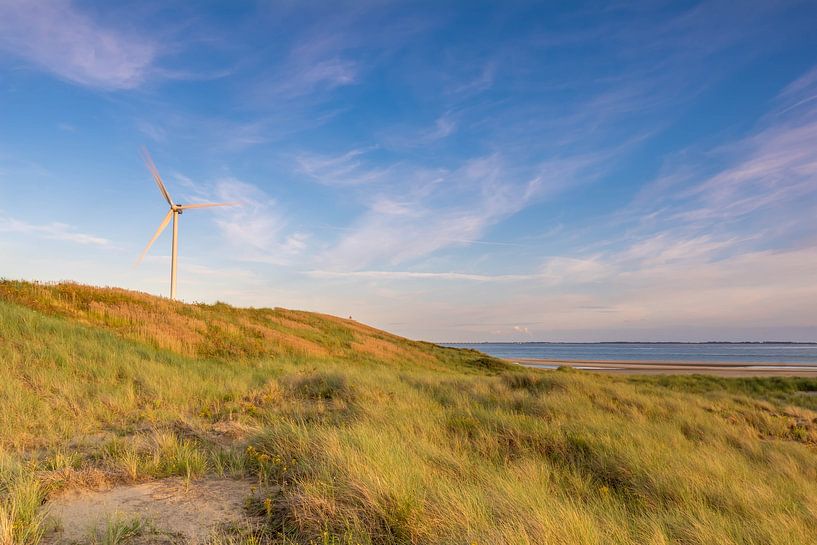 Windmühle von Jan Koppelaar Fotografie