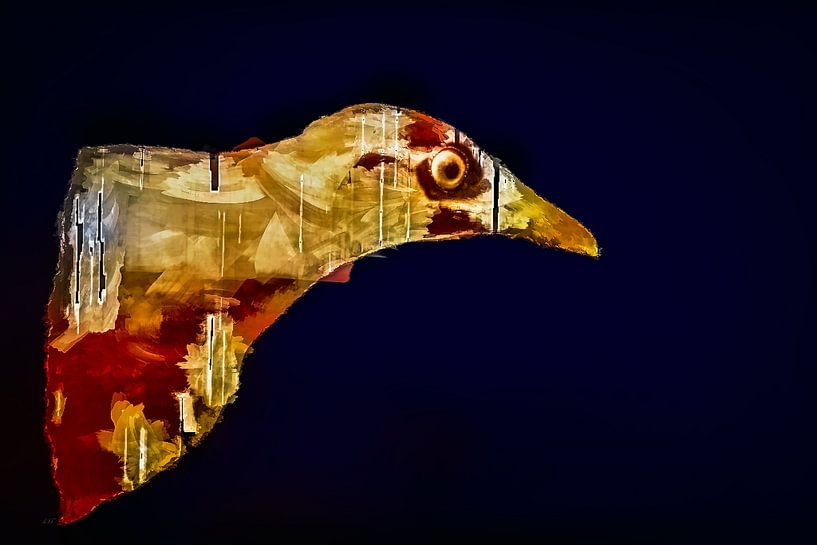 Auge auf Fantasie von Alida van Luijn-Toet