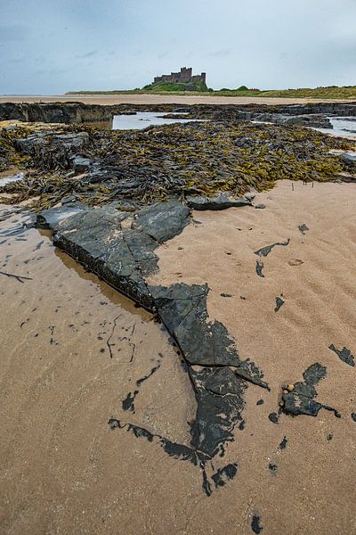 Küstenlandschaft in Ostengland mit im Hintergrund Burg Bamburgh von Jeroen Stel