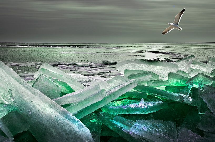 Winters IJsselmeer von Fons Bitter
