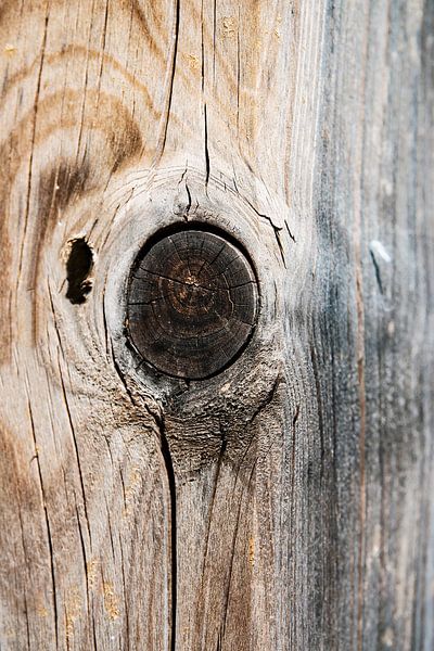 Wooden pole by Anouschka Hendriks