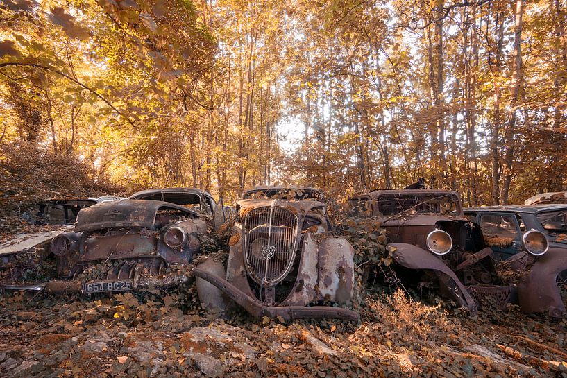 Abandoned cars urban exploring by Dafne Op 't Eijnde