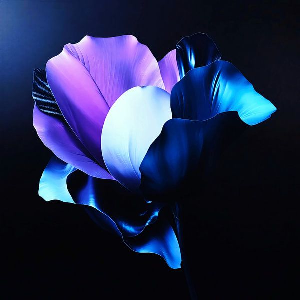 Brightly coloured flowers in the dark by A.D. Digital ART
