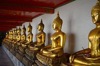 A stately row of Buddha statues at Wat Pho
