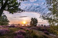 Der Tag beginnt mit wunderschönem lila Heidekraut und einem herrlichen Himmel.
