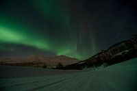 Noorderlicht