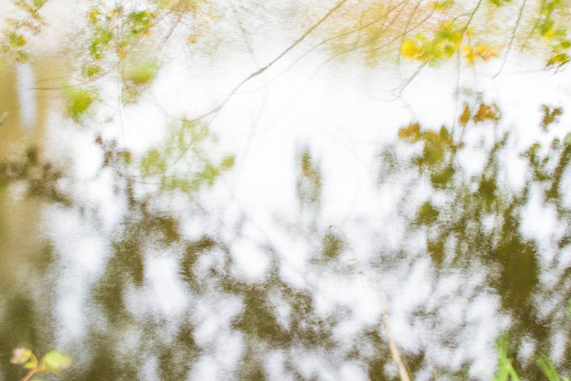 Natur in Utrecht Niederländische Kunstbewegung von Lisanne Koopmans