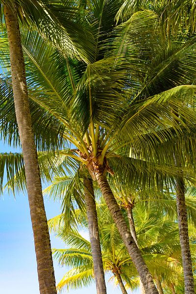 Day at the beach by Robin Schalk