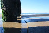 Het Leven van de Zee