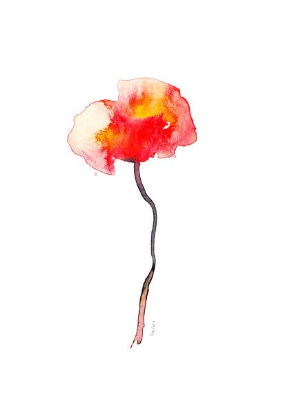 Single poppy by Karen Kaspar