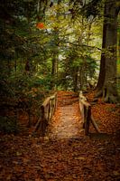 Brug op Landgoed Fraeylemaborg, Groningen