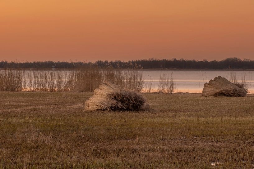 Rietvelden gemaaid van Jan Willem Oldenbeuving