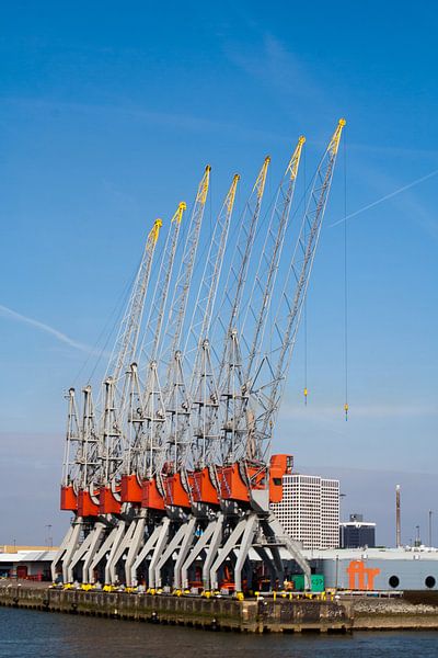 Rotterdam, havenkranen par Arnoud Kunst