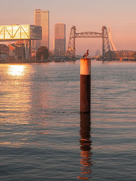 Lever de soleil violent par Nuance Beeld