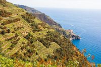 Cinque Terre vanaf boven