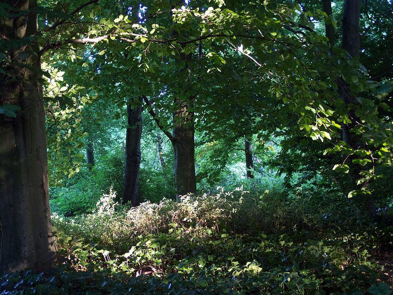 parksfeer par Anne Hana