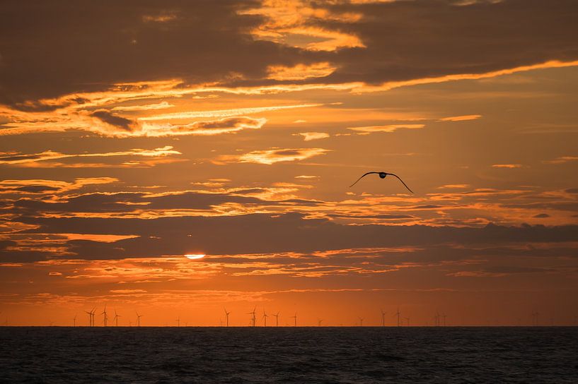 Coucher de soleil sur un parc éolien avec une mouette par Jan Georg Meijer