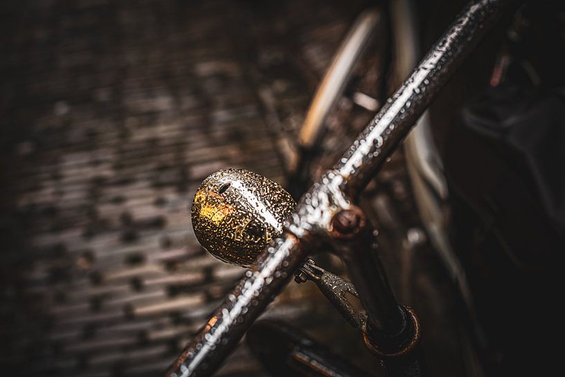 Pio Fahrrad von Piotr Aleksander Nowak