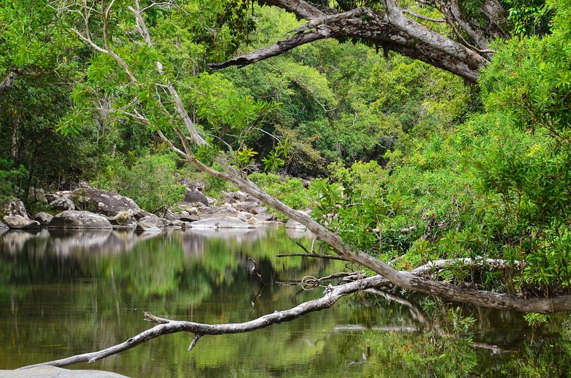 rustig beekje von Chris & Annelies de Waal