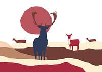 Cerfs dans les dunes