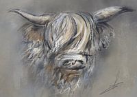 Decoratieve kunst - schotse hooglander full colour kunstwerk