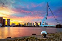 Le pont Erasmus au coucher du soleil